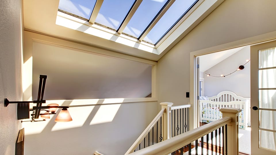Skylight services